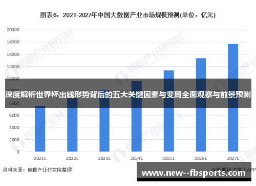 深度解析世界杯出线形势背后的五大关键因素与变局全面观察与前景预测